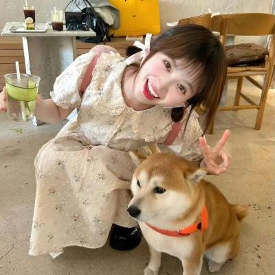 森林之境
